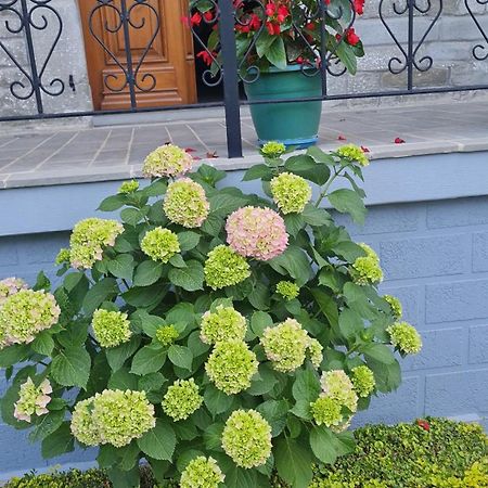 Garden Guest House Permet Bagian luar foto