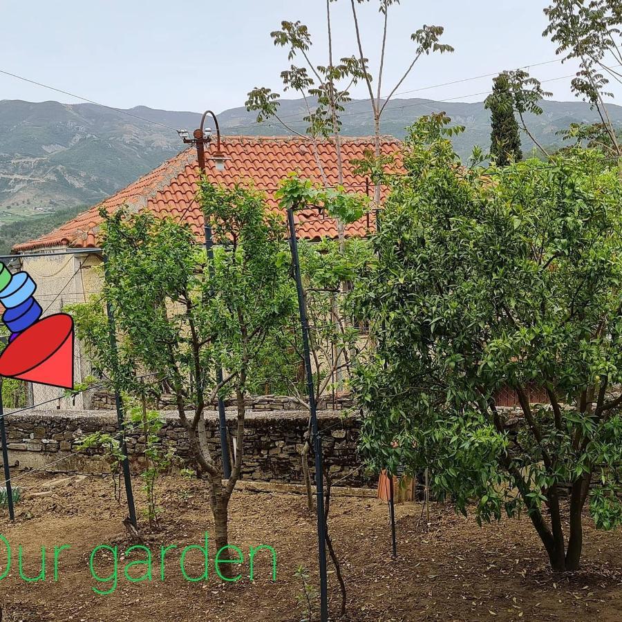Garden Guest House Permet Bagian luar foto