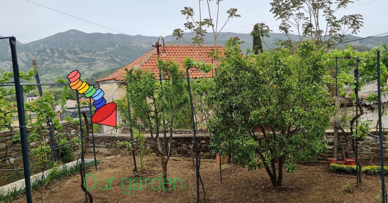 Garden Guest House Permet Bagian luar foto
