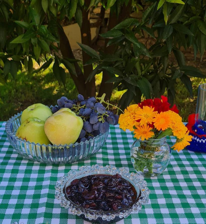 Garden Guest House Permet Bagian luar foto