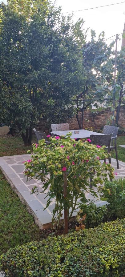 Garden Guest House Permet Bagian luar foto