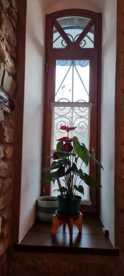 Garden Guest House Permet Bagian luar foto